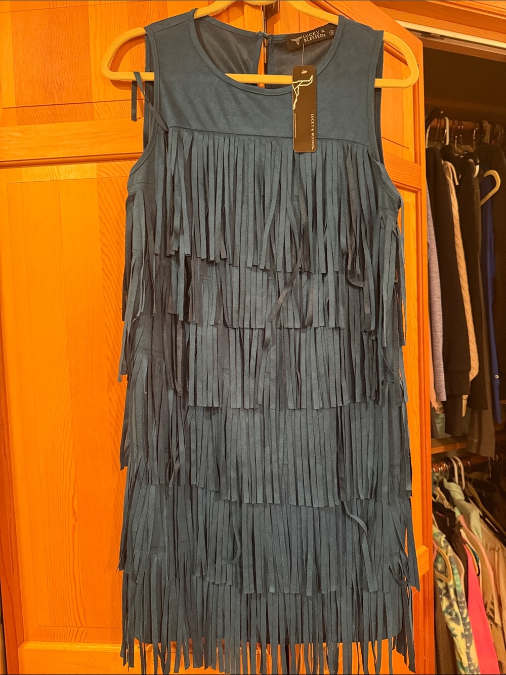 Lucky and blessed fringe dress